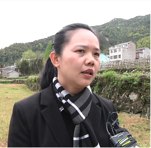从枝头到车间 一杯鲜爽茶的抢“鲜”之旅